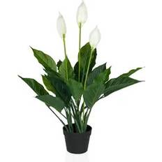 Künstliche Pflanzen hjh OFFICE Kunstpflanze Spathiphyllum Einblatt 80 cm Grün/Weiß Künstliche Pflanzen