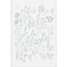 Ekelund Herbarium Kökshandduk Grå (50x35cm)