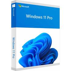 Windows 11 Pro (Retail)