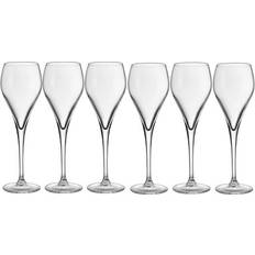 Stiernholm Bubbles Champagneglas 16cl 6st