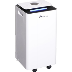 Low Energy Portable Dehumidifier