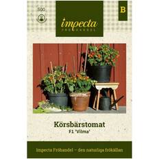 Körsbärstomat F1 'Vilma'
