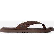 salewa vultur vertical