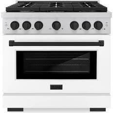 Ranges ZLINE Paramount 36 in 6-Burner Dual Fuel Range Stainless Steel