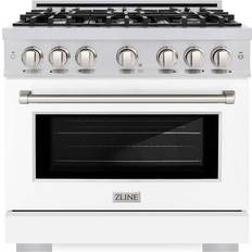 Ranges ZLINE 36 in 6-Burner Dual Fuel Range with Convection Oven Stainless Steel