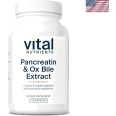 Vitamins & Supplements Vital Nutrients Pancreatin & Ox Bile Extract Digestive Support Formula with Ox Bile Extract 120 Capsules