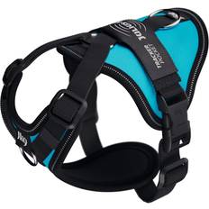 Julius-K9 Longwalk Light Dog Harness