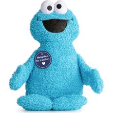 Jay Franco Sesame Street Cookie Monster 2.5 lbs Plush Pillow Buddy