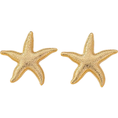 Shein pair Minimalist Starfish Design Earrings Fashion SeaThemed Jewelry For Women