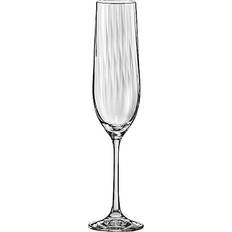 Nuance Glas Nuance Crystal Champagneglas 19cl
