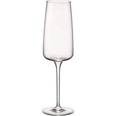 Bormioli Rocco Champagneglas Bormioli Rocco - Champagneglas 24cl 4stk