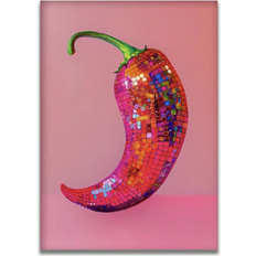 Shein Chic Chili Disco Ball Canvas Art Print Poster 20x30cm