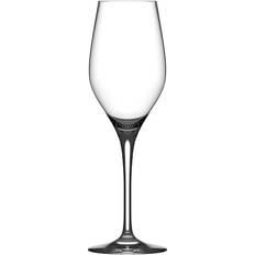 Spiegelau Personal Vinglas 27cl