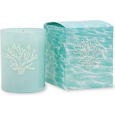 Coral 9.5 oz Icon in Blue Glass