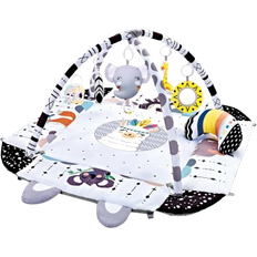 Baby Gym and Infant Play Mat