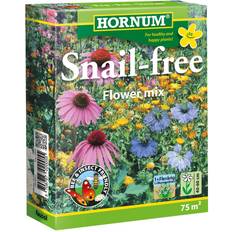 Hornum Snail-Free Flower Mix