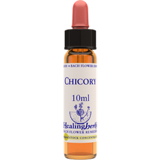 Aroma Creative Chicory 10ml
