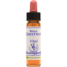 Aroma Creative White Chestnut 10ml