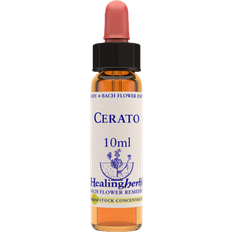 Aroma Creative Cerato