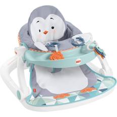 Ihopfällbar Gåvagnar Fisher-Price Babyleksak Flerfärgad En Storlek