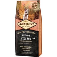 Carnilove salmon Carnilove Puppy Large Breed Salmon & Turkey 4 kg 4kg