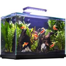 Aquariums - Fish & Reptile Pets Imagitarium Imagitarium Glass Versa Aquarium, Gallons