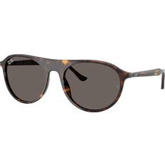 Solbriller Ray-Ban Solbriller Mænd Tortoiseshell - Dark Tortoise