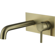 Brushed Wall Mounted Bath Tap With Backing Plate