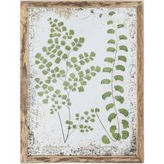 Creative Collection Tipper Illustration Med Ramme 34,5 x 46 cm Fyrretræ Billede