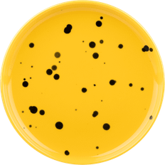 Marimekko Saucer Plates Marimekko Oiva Ø13.5 cm Yellow-Black Saucer Plate 13.5cm