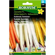 Morötter Grönsaksfröer Hornum Sommarmorot Mix
