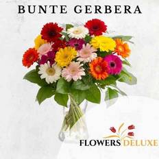 Schnittblumen Flowers Deluxe Blumenstrauß Bunte Gerbera