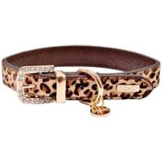 B&G Safari Leopard Print Dog Bling Collar Leather Adjustable Large - Multi