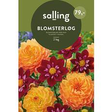 Salling Blomsterløg 2 Stk