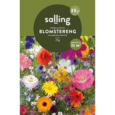 Frøblanding Sommerblomst Mix