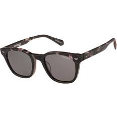 Solglasögon Superdry SDS 5043 Sköldpaddemönstradeshell Solglasögon Män
