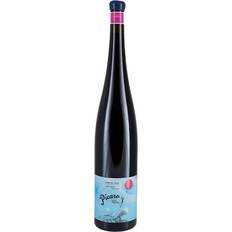 Dominio del Aguila Picaro Vinas Viejas Ribera del Duero 2021
