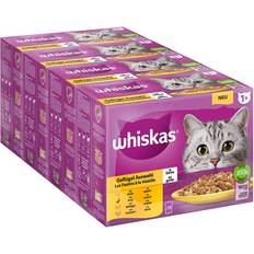 Kæledyr Whiskas Portionsbeutel Multipack Special Pack 1+ Fisch