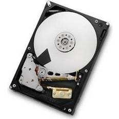 HGST HDD Hard Drives HGST 2TB SAS 64MB RAID 24x7