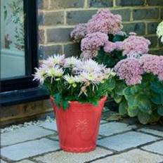 Dunelm Sophie Robinson Small Watermelon Plant Pot - Brown