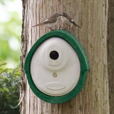 Wood Garden Decorations Alicante 32mm Nest Box Green