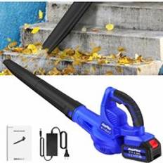 Dayplus 21V Cordless 2-in-1 Snow Dust Leaf Blower and Vacuums