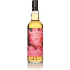 Mortlach 16 Year Old Equinox Solstice Summer 2024 Decadent Drinks Single Malt Whisky 70cl