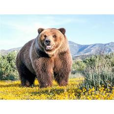 Bruna Diamond Paintings Fiyo 5D DIY Full Round Diamond Painting Brown Bear Embroidery Cross Stitch 20 x 30 cm