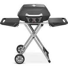 Austin and Barbeque AABQ Superior Portable 2 Burner Gas Grill