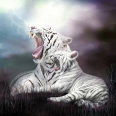 White Diamond Paintings Fiyo 5D Diamond Painting White Tiger Roar 20 x 30 cm