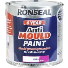 Ronseal Anti-Mould Paint 2.5L Condensation Damp White