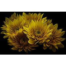 Yellow Diamond Paintings Fiyo Rhinestones Embroidery 5D Diamond 20 x 30 cm