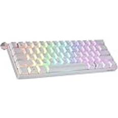 GK61 SE 60% Mekaniskt Speltangentbord 61 Tangenter Multi Color RGB LED Bakgrundsbelysning