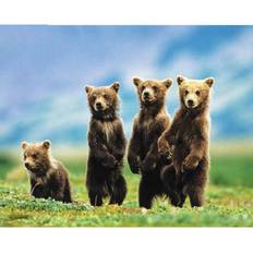 Bruna Diamond Paintings Fiyo 5D Diamond Embroidery Four Lovely Brown Bear 20 x 30 cm